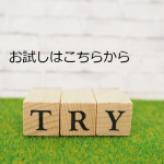 イーフォースのお試し手順