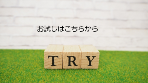 イーフォースのお試し手順